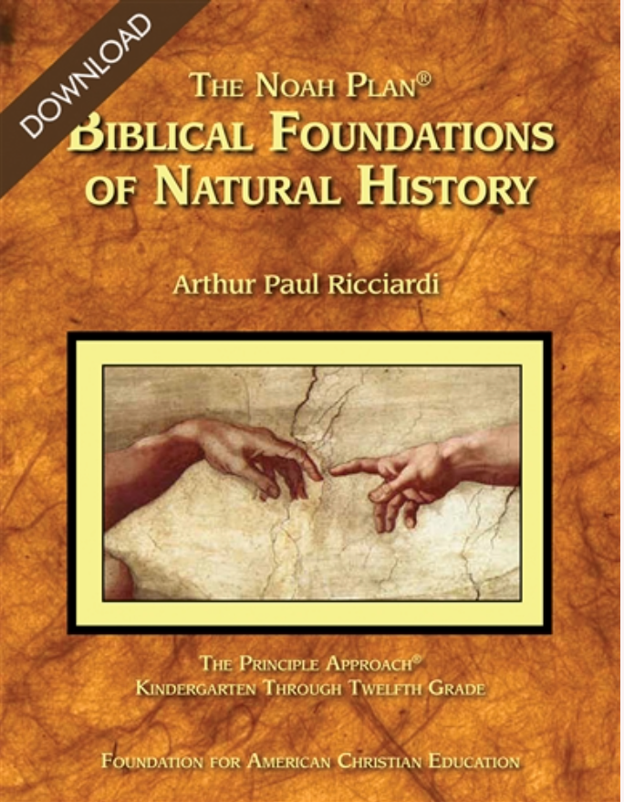 Curriculum Subject Guide Video Courses - Image 10