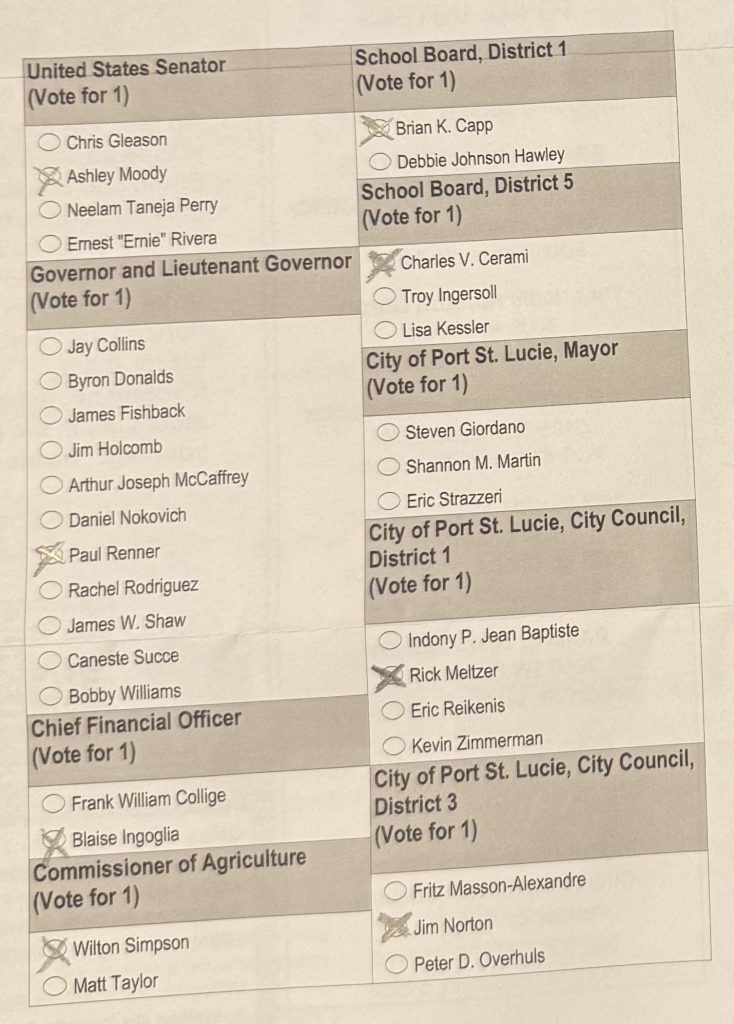 Voting in the Primaries